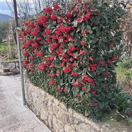 Giardino San Gerardo Maiella Vista Castello E Con Parcheggio Interno Privato E Gratuito Appartement Muro Lucano