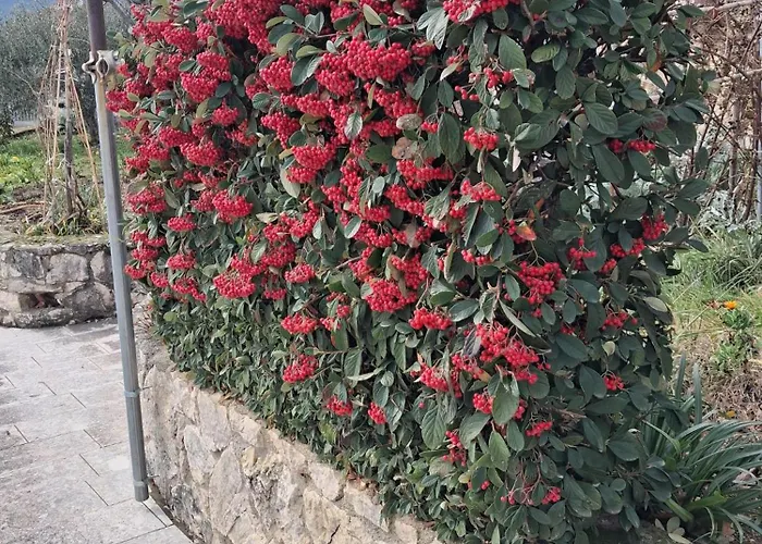 Giardino San Gerardo Maiella Vista Castello E Con Parcheggio Interno Privato Apartmán Muro Lucano