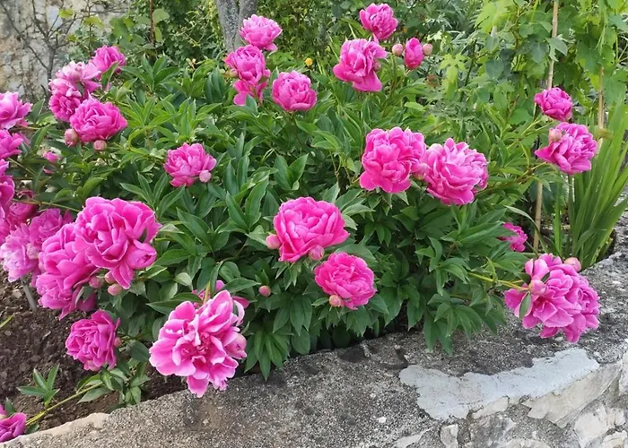 Giardino San Gerardo Maiella Vista Castello E Con Parcheggio Interno Privato Muro Lucano